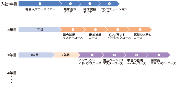 入社後のスキルアップイメージ図